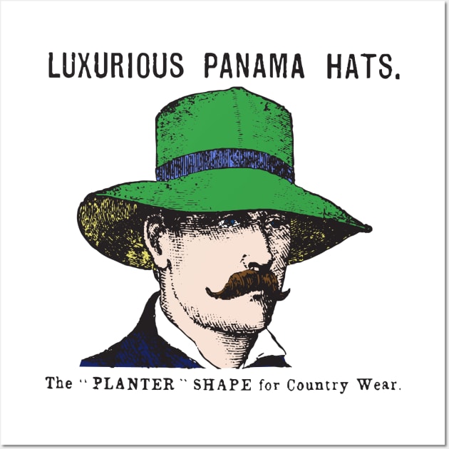 Luxurious Panama Hats Wall Art by edgarcat